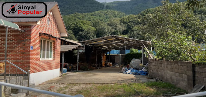 Solusi Cerdas Jepang Atasi Krisis Properti