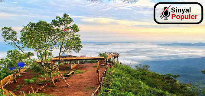 Cari Wisata Alam Yang Ringan Ini Rekomendasi One-Day Trip Di Semarang Terbaik