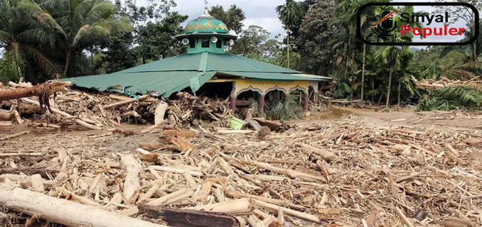 DPR Panggil Menhut Raja Juli Bahas Ribuan Kayu Hanyut Di Sumatra