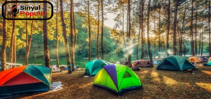 Mau Camping Di Bandung Ini Rekomendasi Spot Terbaik Untuk Liburan Seru!